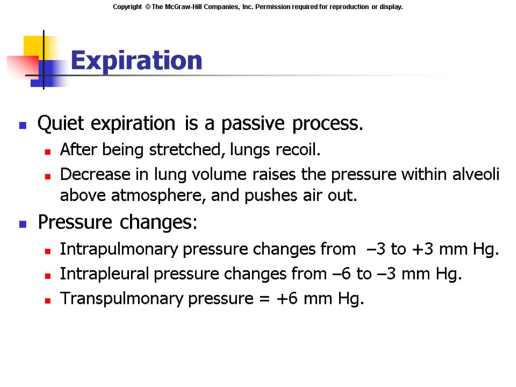 Expiration Quiet expiration is a passive process. After being stretched, lungs recoil. Decrease in